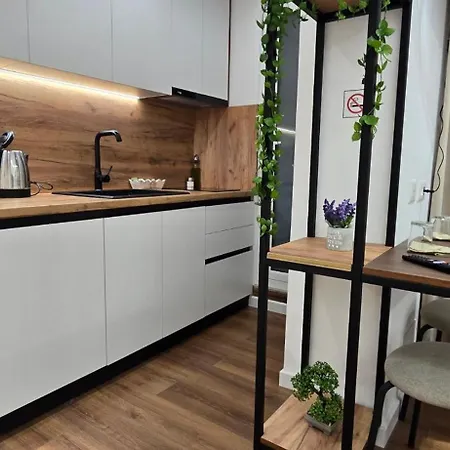 El-xho 2 Тирана